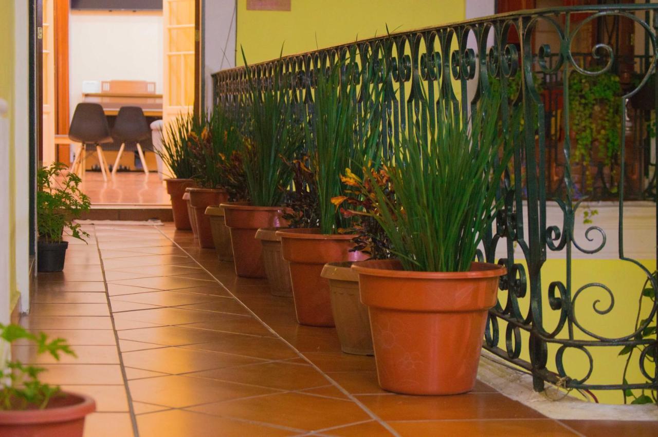 Casa Maria Hostal Мехико Экстерьер фото